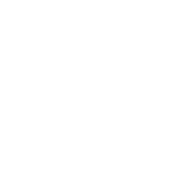 ce logo Kissimmee