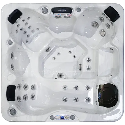Avalon EC-849L hot tubs for sale in Kissimmee