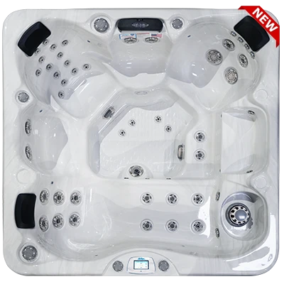 Avalon-X EC-849LX hot tubs for sale in Kissimmee