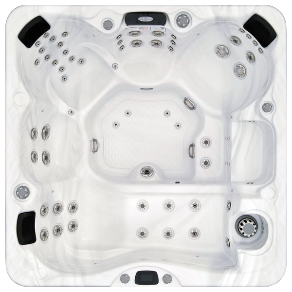 Avalon-X EC-867LX hot tubs for sale in Kissimmee